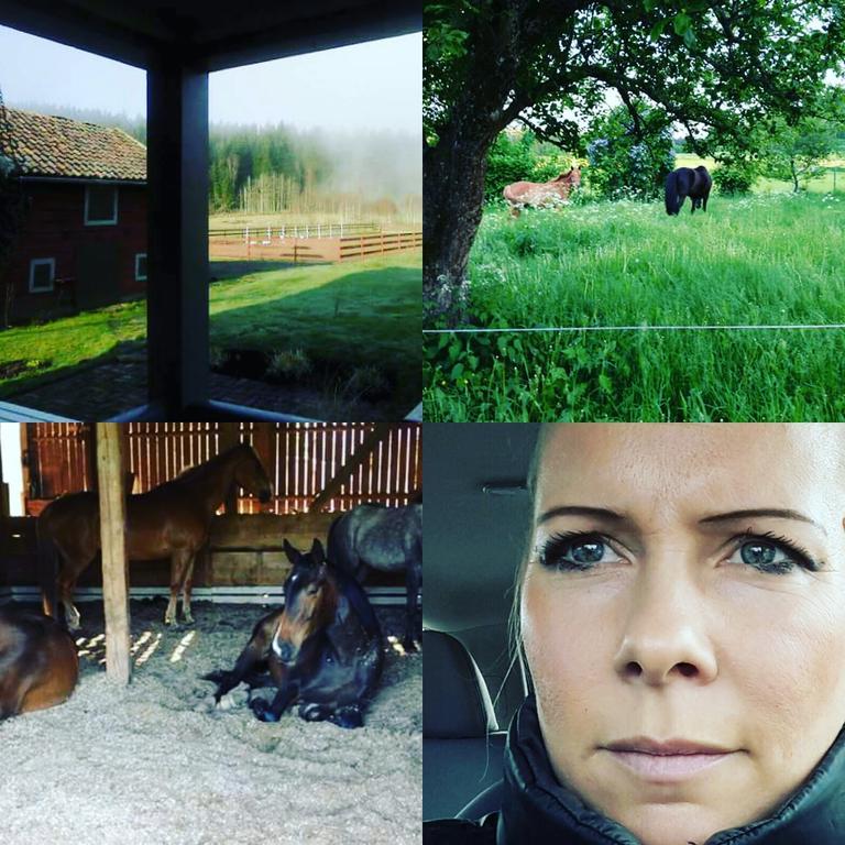 Bjaerkeryd Soedergard Bed & Stable Vila Kisa Exterior foto